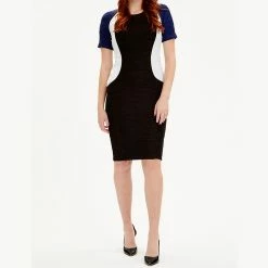 Women's Focus By Shani Colorblock Ottoman Sheath Dress